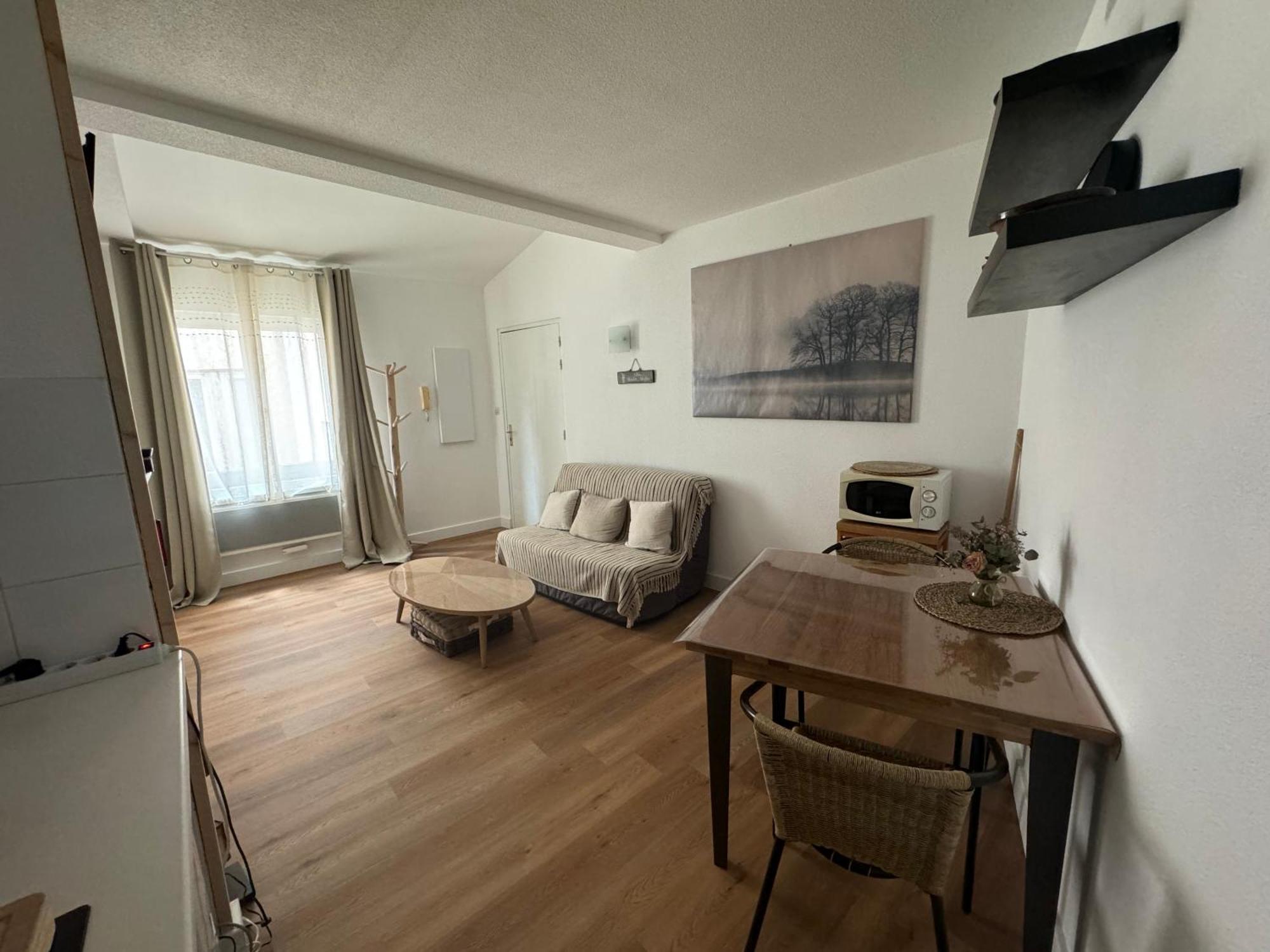 Апартаменти T2 *Hypercentre* Bord De Garonne Тулуза Екстер'єр фото